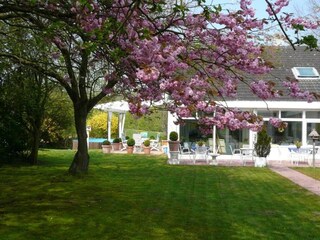 Garten und kleiner Pool