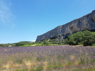 Villa Beaumes de Venise Environment 27