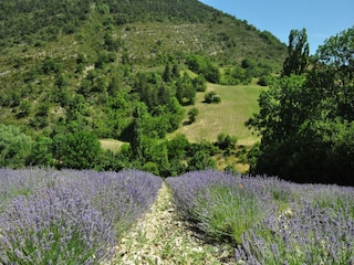 Villa Beaumes de Venise Environment 34