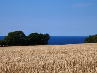 Appartamento per vacanze Wangels & Weißenhäuser Strand Ambiente 18
