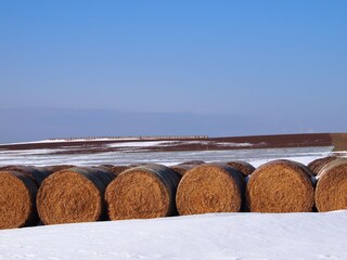 Appartamento per vacanze Wangels & Weißenhäuser Strand Ambiente 19