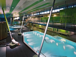 Die Spreewald Therme (Bild: Spreewald Therme GmbH)