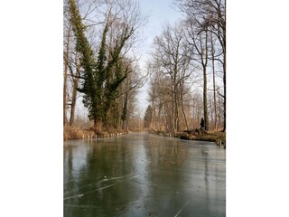 Die zugefrorene Spree