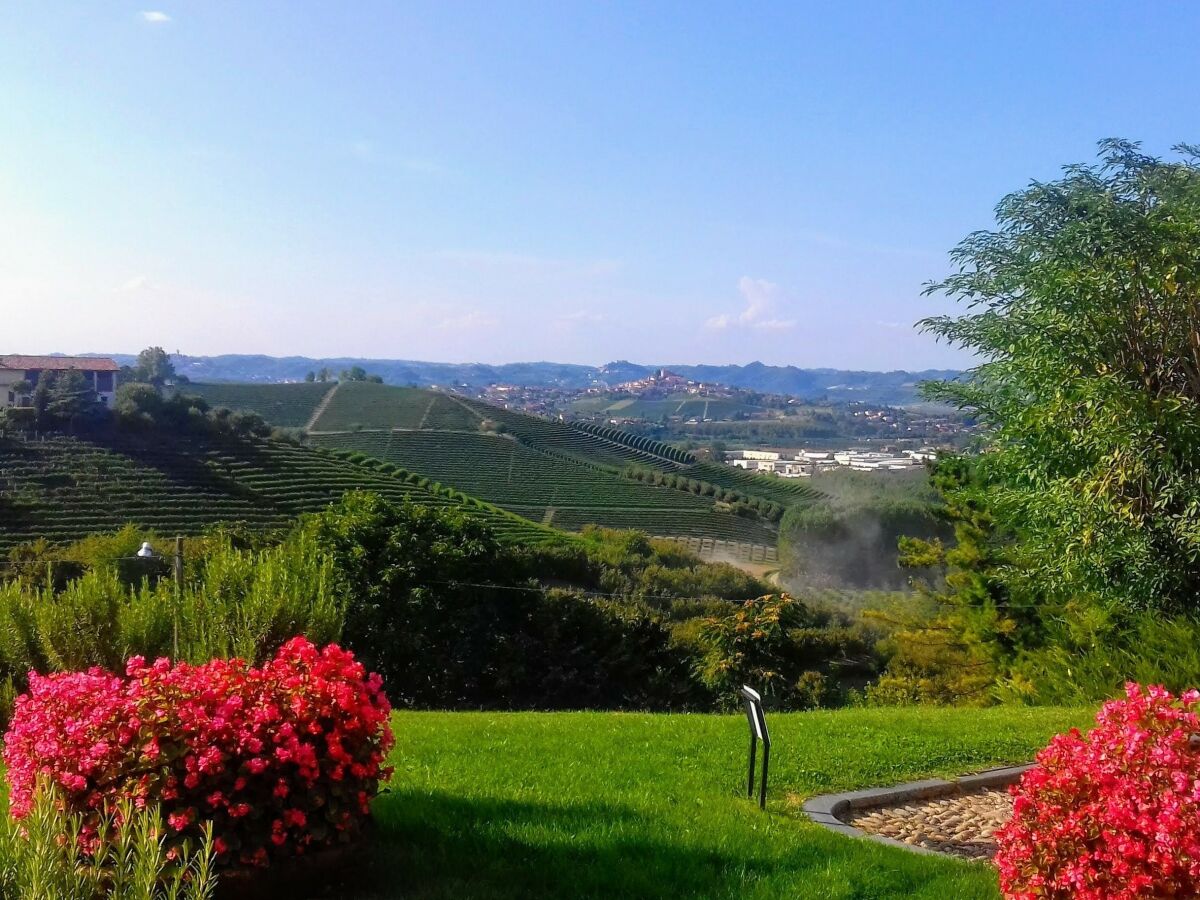 Landschaft Langhe/Monferrato