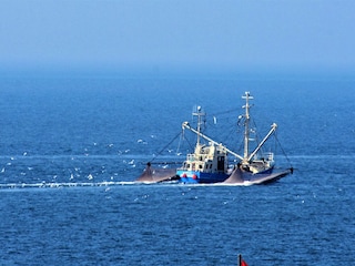 Krabbenkutter beim Fang