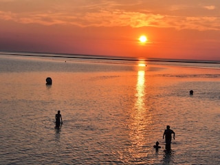 Schwimmen im Sonnenuntergang