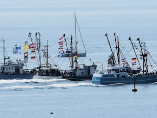 Kutterregatta
