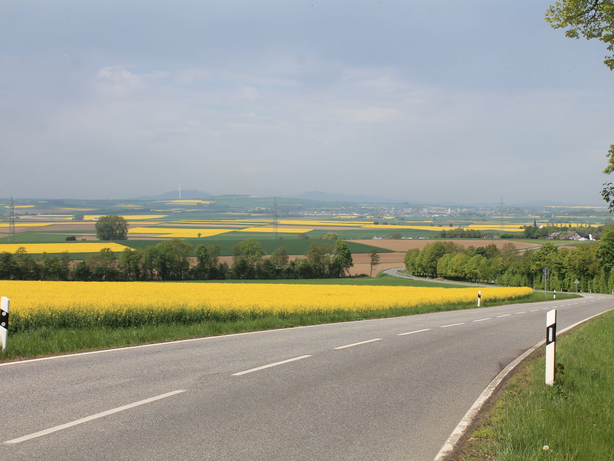 Das sonnige Maifeld in der Rapsblüte