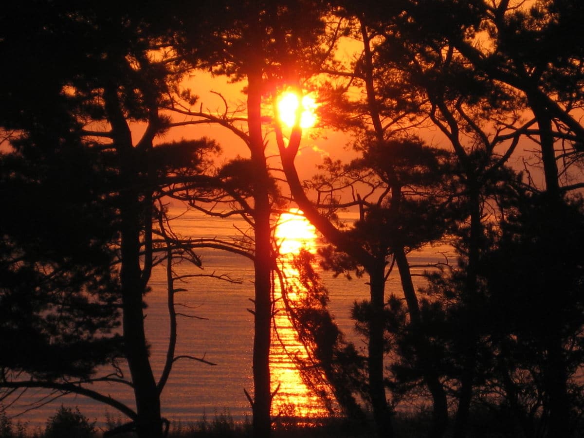 Sonnenaufgang, aufgenommen aus der Wohnung