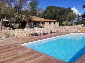 Holiday house Porto Vecchio sheepfold style house with pool - Porto Vecchio - image1