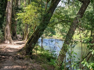 Ferienhaus Ponte de Lima Umgebung 27