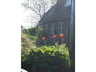 Ferienwohnung Nottfeld Außenaufnahme 6