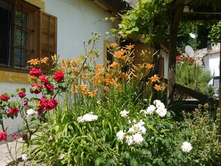 Cottage Szigliget Outdoor Recording 17