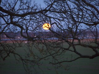 Appartamento per vacanze Gingst Ambiente 28