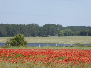 Appartamento per vacanze Gingst Registrazione all'aperto 10