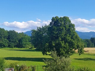 Blick auf den Hochgern vom Balkon aus