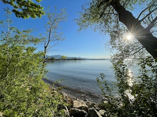 Chiemsee