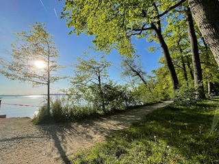 Chiemsee