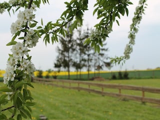 Ferienhaus Gramkow Umgebung 26