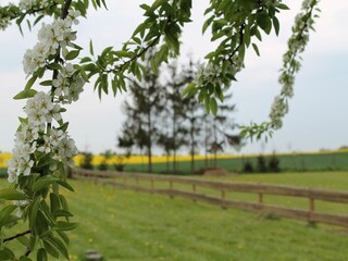 Vakantiehuis Gramkow Omgeving 18