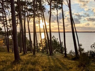 Vakantiehuis Gramkow Omgeving 35
