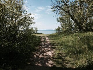 Vakantiehuis Gramkow Omgeving 40