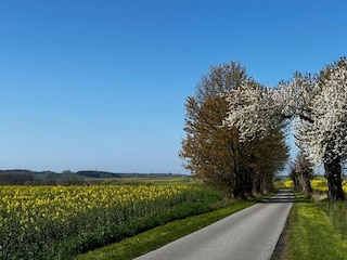 Ferienhaus Gramkow Umgebung 38