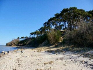 Vakantiehuis Gramkow Omgeving 32