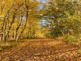 Casa de vacaciones Gramkow Entorno 31