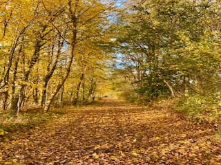 Ferienhaus Gramkow Umgebung 33