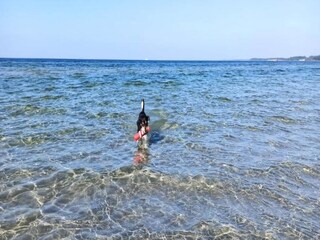 Casa per le vacanze Gramkow Ambiente 34