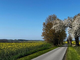 Vakantiehuis Gramkow Omgeving 37