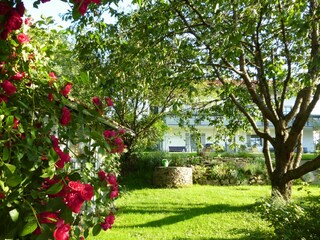 Blick vom Garten auf Haus