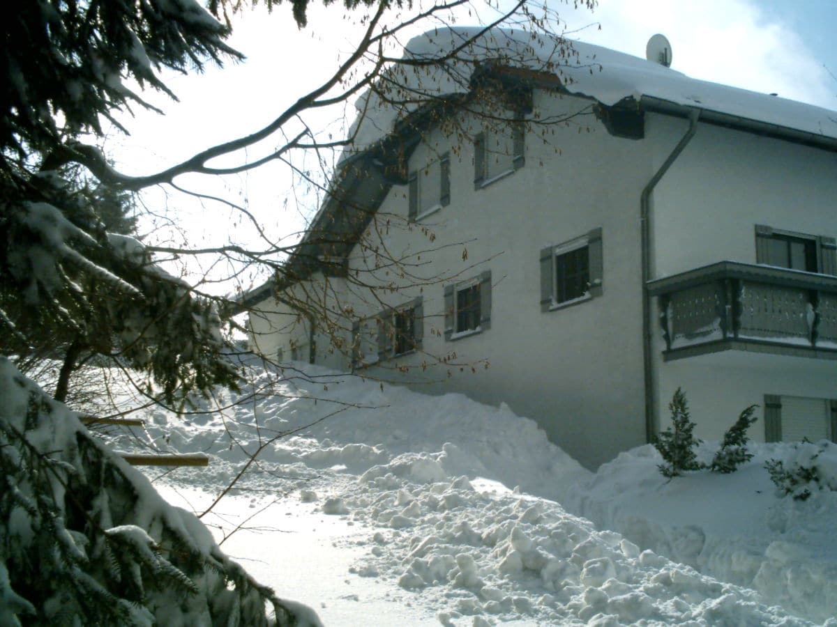 Haus im Schnee