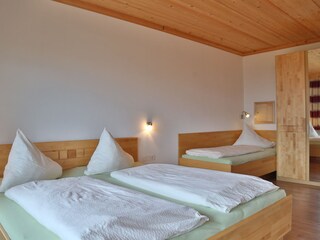 Appartamento per vacanze Zellberg Caratteristiche 7