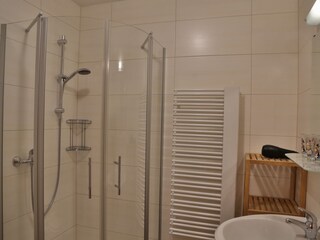 Appartamento per vacanze Zellberg Caratteristiche 10