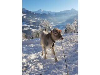 Appartamento per vacanze Zellberg Ambiente 19