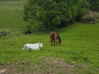 Appartamento per vacanze Zellberg Ambiente 23