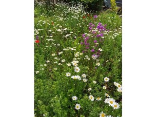 Casa de vacaciones Friedrichsbrunn Entorno 26