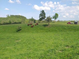 Vakantiehuis Friedrichsbrunn Omgeving 23