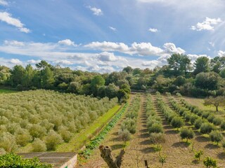 Villa Montuiri Registrazione all'aperto 37
