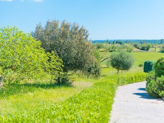 Chalet Maria De La Salut Ambiente 30