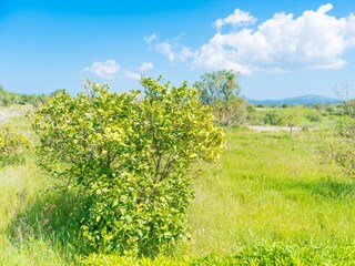 Chalet Maria De La Salut Ambiente 32