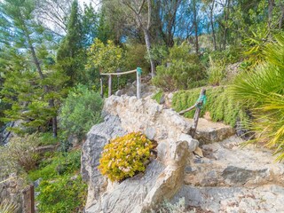 Chalet Alaró Entorno 32