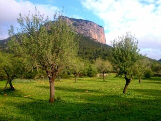 Chalet Alaró Entorno 33