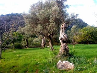 Chalet Alaró Entorno 34