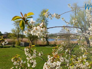 Appartamento per vacanze Lancken-Granitz Registrazione all'aperto 13