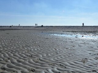 Wattenmeer
