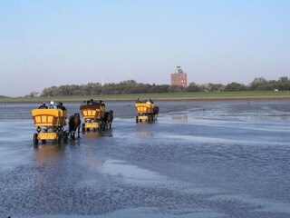 Wattwagenfahrt nach Neuwerk