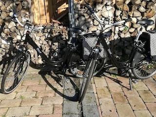 2 E-Bikes zu mieten